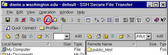 SFTP window