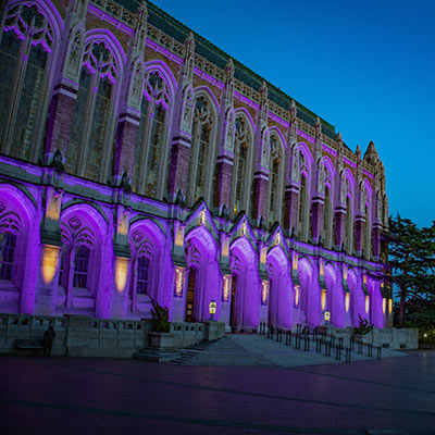 Suzzallo Library lit up with purple lights.