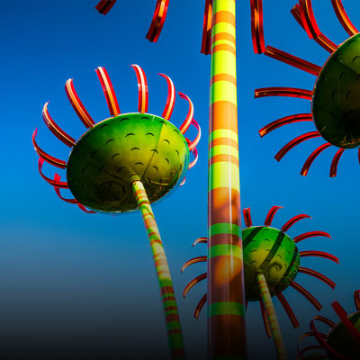 Sonic Bloom art installation that can be found at Seattle City Center.
