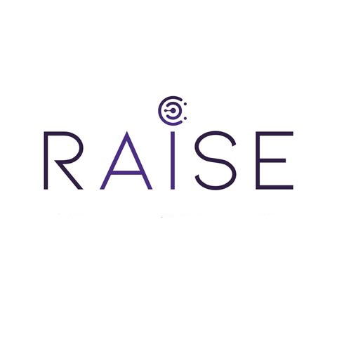 RAISE Responsibility in AI Systems & Experiences