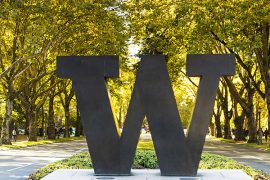 The University of Washington North campus bronze "W" in the sunshine with fall color.