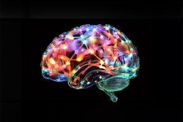 Glass brain model illuminated in colors to show the neural network against a black background.