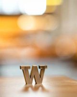 fallback-bronze-w-portrait