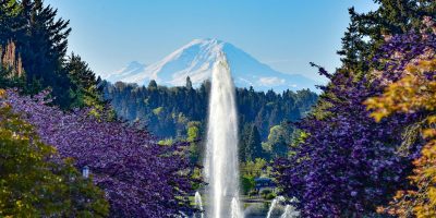 Drumheller Fountain with Mt. Rainer in the background