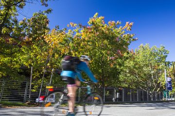 A cyclist in motion on a bike under a brilliant blue sky with fall foliage in the background